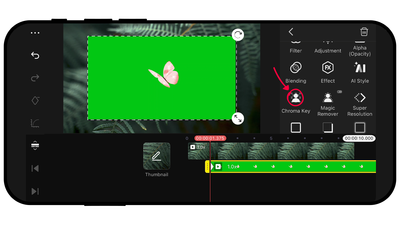 The Chroma Key tool is available for media layers that are selected on the Timeline